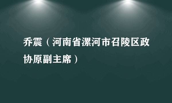 乔震(河南省漯河市召陵区政协原副主席)