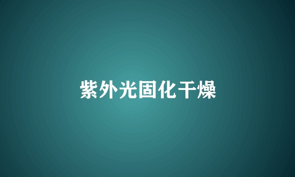 紫外光固化干燥