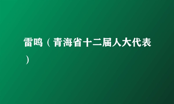 雷鸣（青海省十二届人大代表）