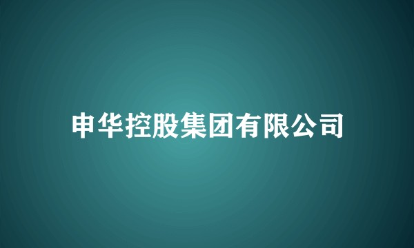 申华控股集团有限公司