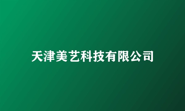 天津美艺科技有限公司