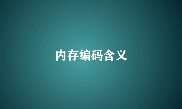 内存编码含义