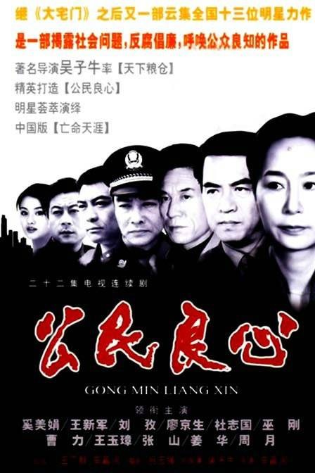 公民良心（2002年吴子牛执导的犯罪剧）