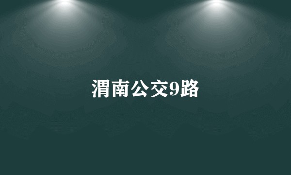 渭南公交9路