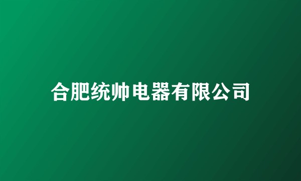 合肥统帅电器有限公司