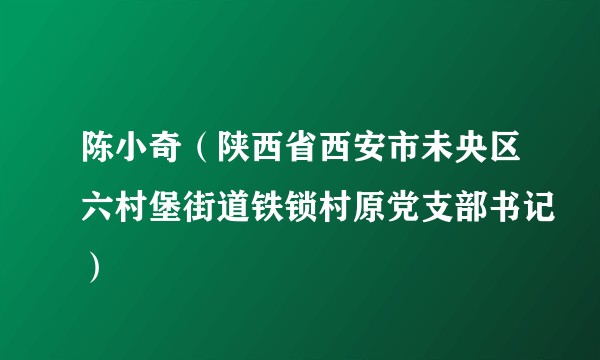 陈小奇（陕西省西安市未央区六村堡街道铁锁村原党支部书记）