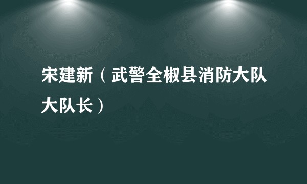 宋建新（武警全椒县消防大队大队长）