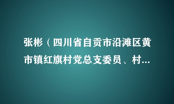 张彬(四川省自贡市沿滩区黄市镇红旗村党总支委员、村委会副主任)