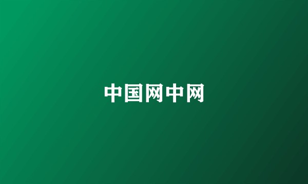 中国网中网