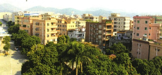 陈村（广东省东莞市虎门镇陈村社区辖自然村）