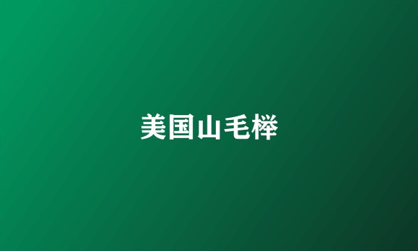 美国山毛榉