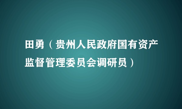 田勇（贵州人民政府国有资产监督管理委员会调研员）