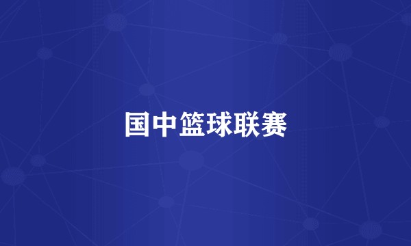 国中篮球联赛