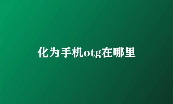 化为手机otg在哪里