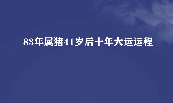 83年属猪41岁后十年大运运程