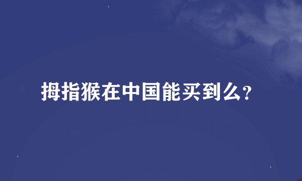 拇指猴在中国能买到么？