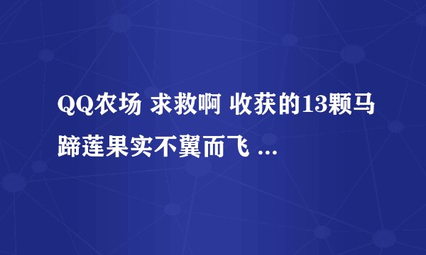 QQ农场 求救啊 收获的13颗马蹄莲果实不翼而飞 谁能告诉哪去了