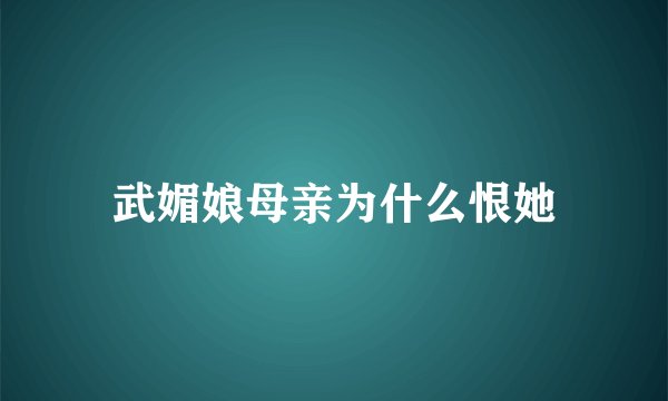武媚娘母亲为什么恨她