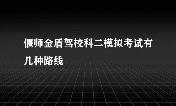 偃师金盾驾校科二模拟考试有几种路线