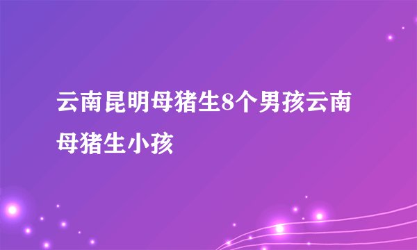 云南昆明母猪生8个男孩云南母猪生小孩