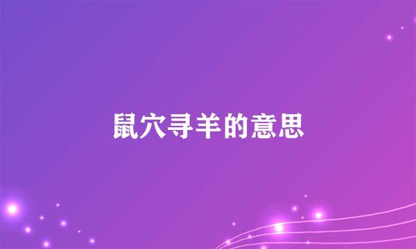 鼠穴寻羊的意思