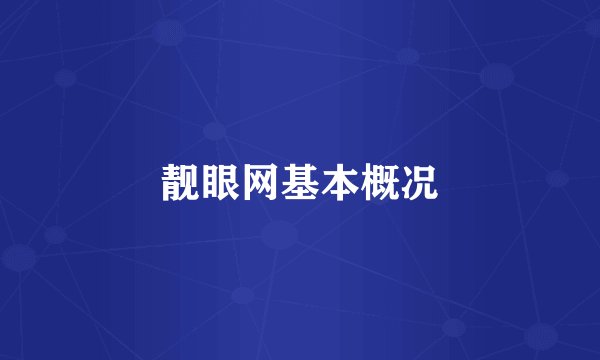 靓眼网基本概况