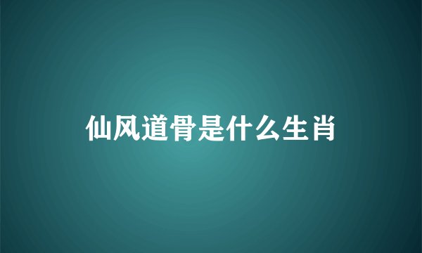 仙风道骨是什么生肖