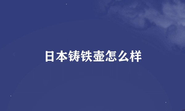日本铸铁壶怎么样