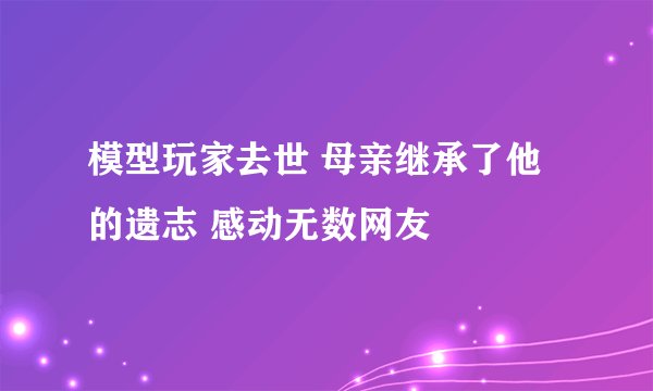 模型玩家去世 母亲继承了他的遗志 感动无数网友