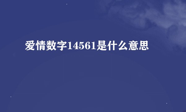 爱情数字14561是什么意思