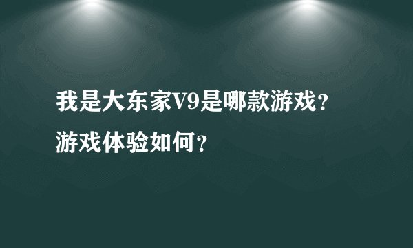 我是大东家V9是哪款游戏？游戏体验如何？