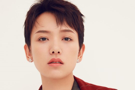 李晓峰个人简历