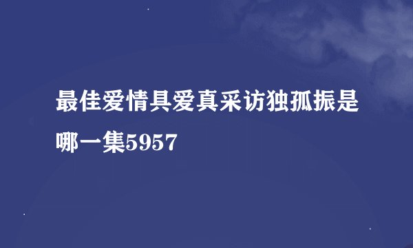 最佳爱情具爱真采访独孤振是哪一集5957