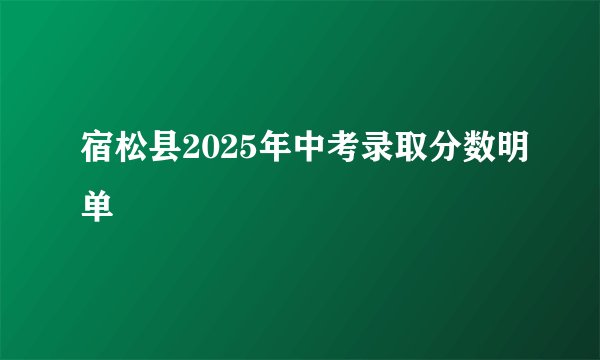 宿松县2025年中考录取分数明单