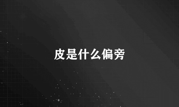 皮是什么偏旁
