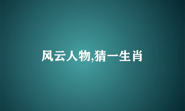 风云人物,猜一生肖