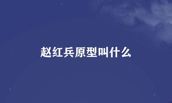 赵红兵原型叫什么