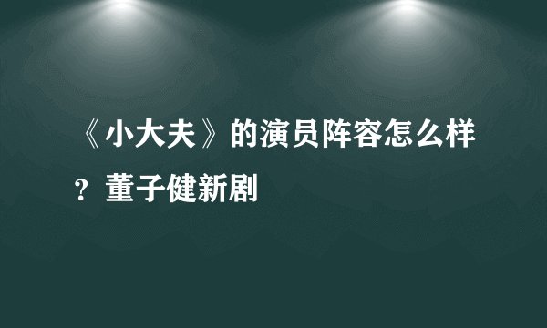 《小大夫》的演员阵容怎么样？董子健新剧