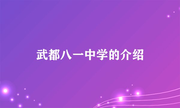 武都八一中学的介绍