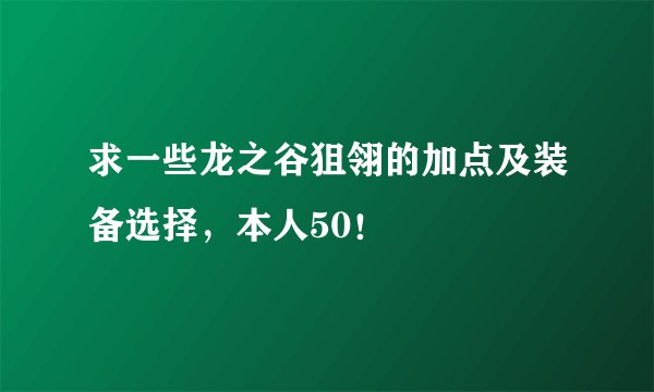 求一些龙之谷狙翎的加点及装备选择,本人50!