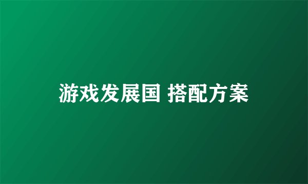 游戏发展国 搭配方案