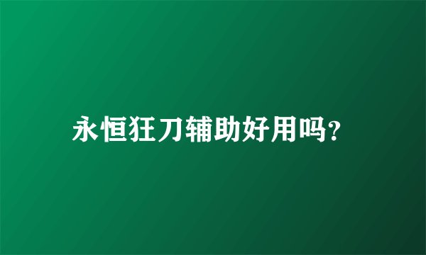 永恒狂刀辅助好用吗？