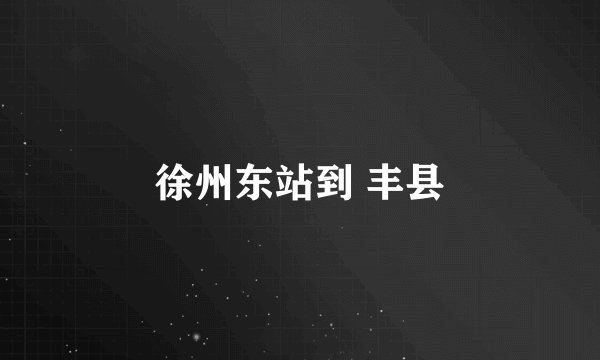 徐州东站到 丰县