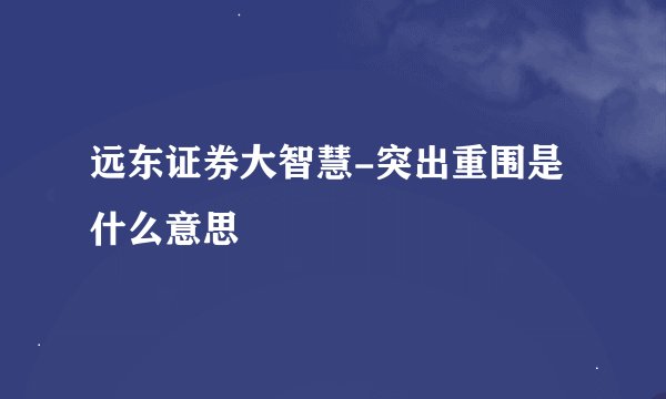 远东证券大智慧-突出重围是什么意思