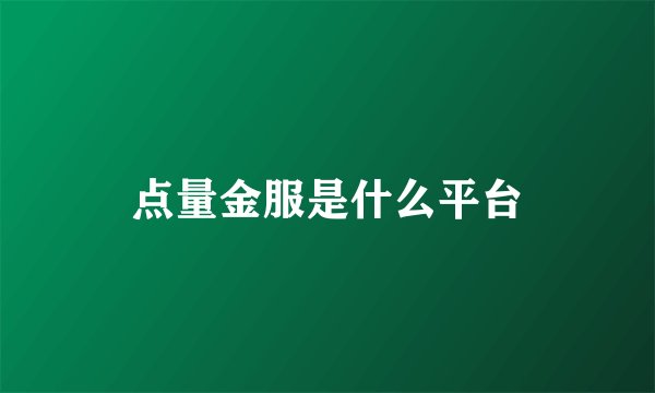 点量金服是什么平台