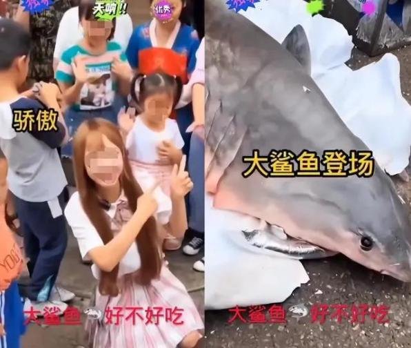 官方辟谣网红从京东购买大白鲨：与案件事实不符！涉事平台该担责吗？