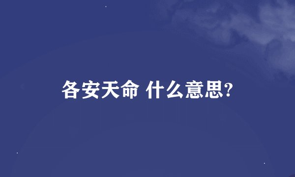 各安天命 什么意思?