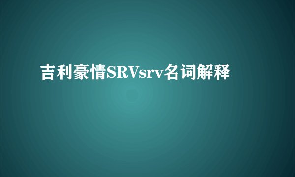 吉利豪情SRVsrv名词解释
