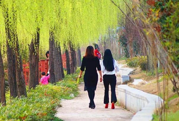 全国“俯冲式”降温,犹如一夜换季,在换季的时候该注意些什么?