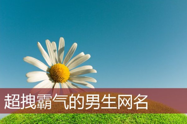 成功男士霸气网名